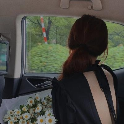 捡个满级幼崽全家开挂