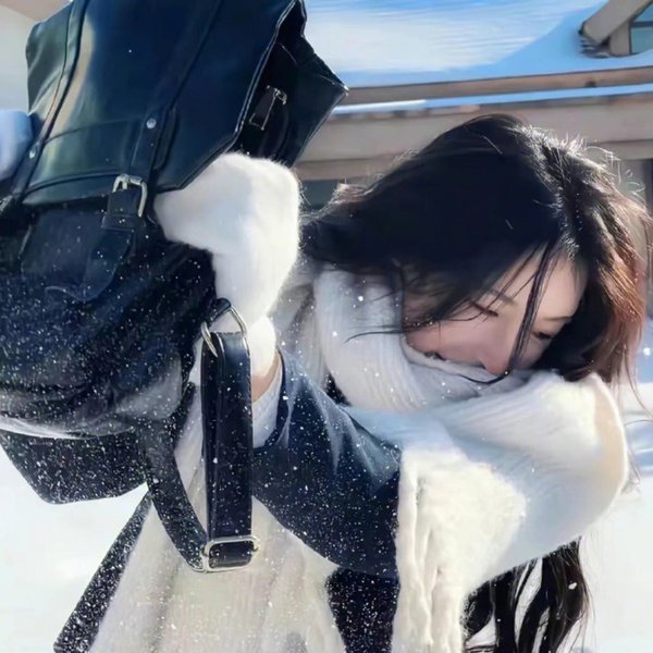 钢铁骑士Max第一季